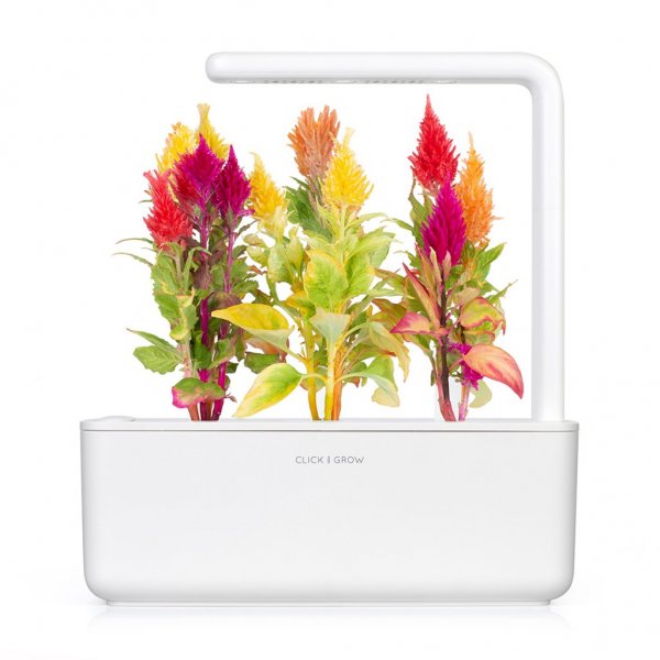 Smart Garden Refill 3-pack - Plymört