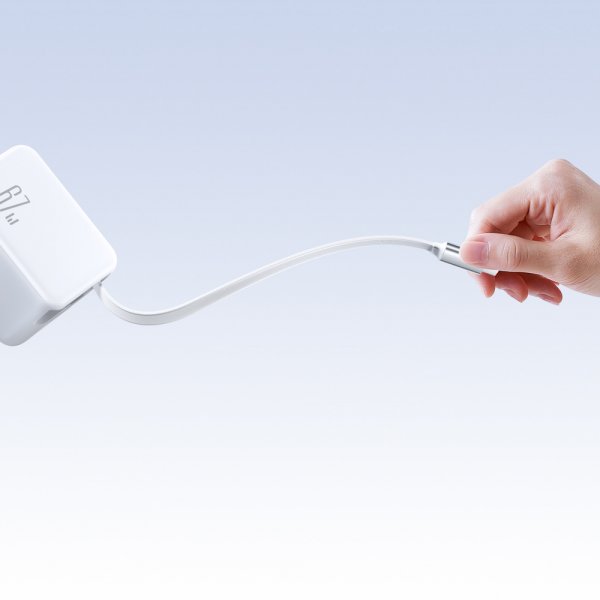67W Väggladdare med inbyggd USB-C kabel & USB-C uttag Vit