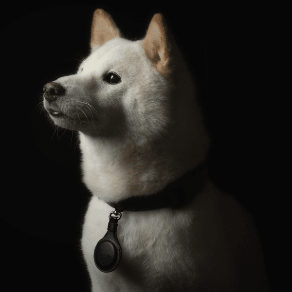 AirTag Hållare PU-Läder Svart