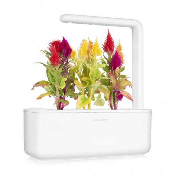Smart Garden Refill 3-pack - Plymört