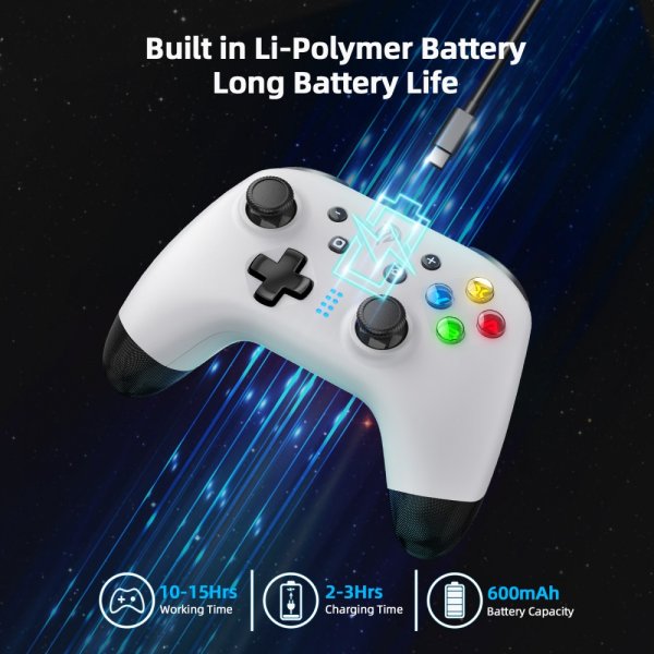 Bayard 9124 Switch/Android/PC Programmable Wireless Gamepad Vit