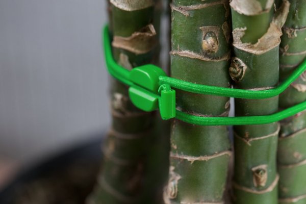 Pixi Medium Låsbara Gummiband Svart Grön