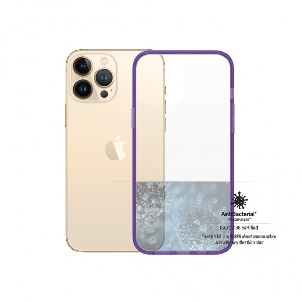 iPhone 13 Pro Max Skal ClearCase Color Grape