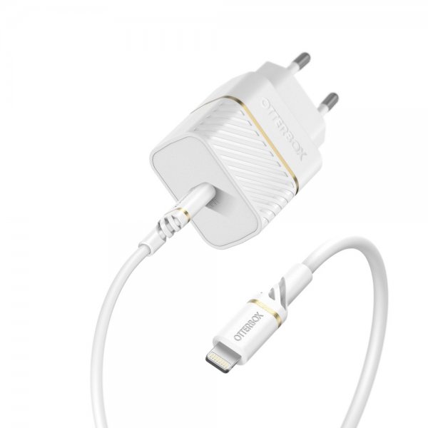 Laddare USB-C to Lightning 20W Wall Charger + Cable