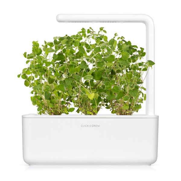 Smart Garden Refill 3-pack - Oregano