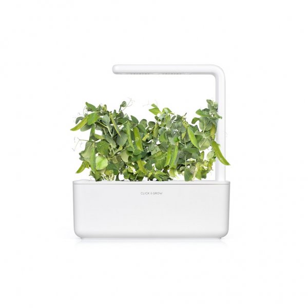Smart Garden Refill 3-pack - Dwarf Pea