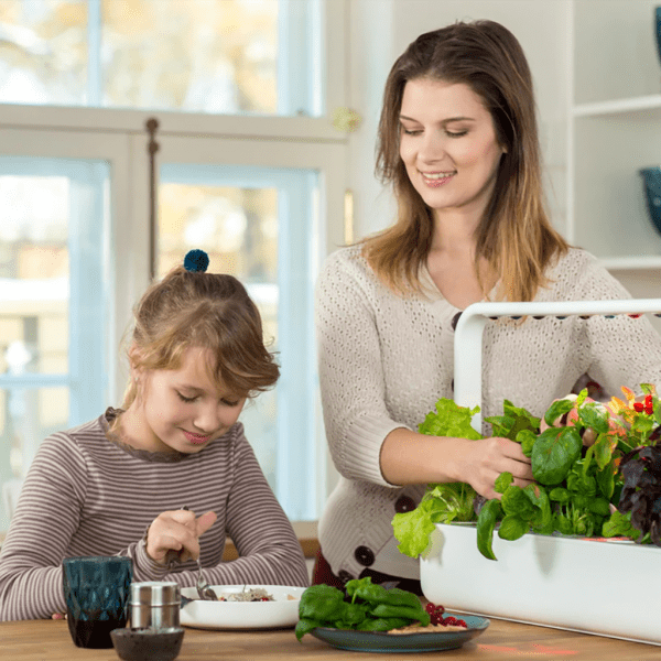 Smart Garden 9 Pro Start Kit Vit