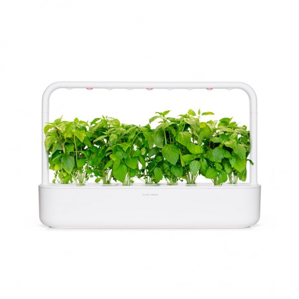 Smart Garden Refill 3-pack - Kanelbasilika